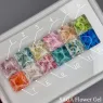 Saga flower fairy gel Гель с сухоцветами в баночке, 5 мл