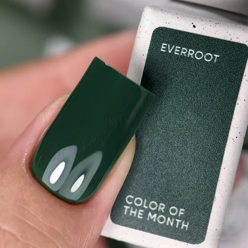 NAILSOFTHEDAY Let's special Гель-лак "Цвет месяца" в коробочке, 10 мл