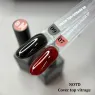 NAILSOFTHEDAY Color Top, Color Top Vitrage Цветной топ без липкого слоя, 10 мл